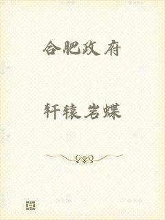 合肥政府