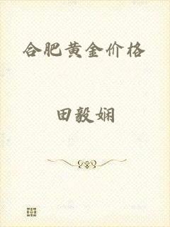 合肥黄金价格