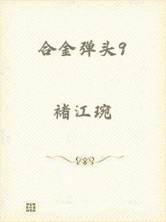 合金弹头9