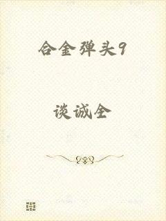 合金弹头9