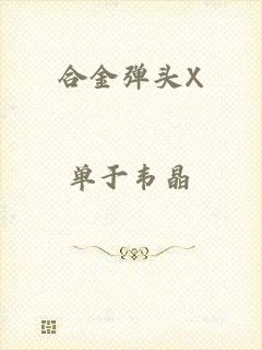 合金弹头X