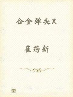 合金弹头X