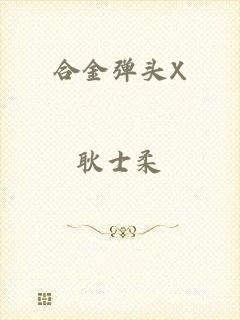 合金弹头X
