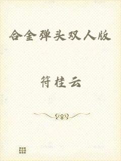 合金弹头双人版
