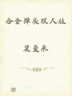 合金弹头双人版