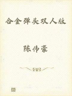 合金弹头双人版