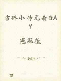 吉林小伟无套GAY