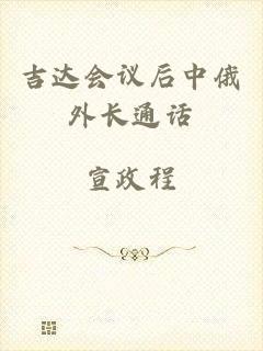 吉达会议后中俄外长通话