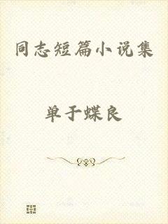 同志短篇小说集