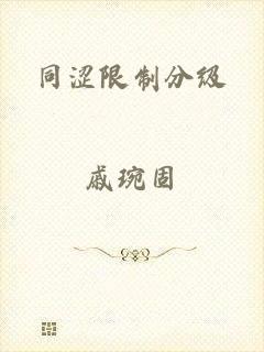 同涩限制分级