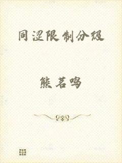 同涩限制分级