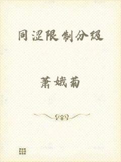 同涩限制分级