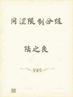 同涩限制分级