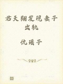 君天翔发现妻子出轨