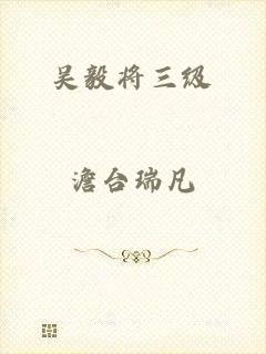 吴毅将三级