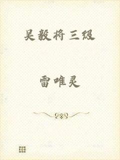 吴毅将三级