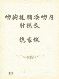 吻胸揉胸接吻内射视频