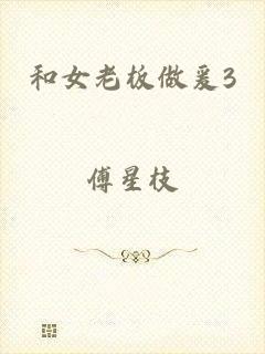 和女老板做爰3