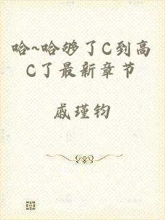 哈~哈够了C到高C了最新章节