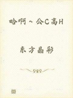 哈啊～公C高H