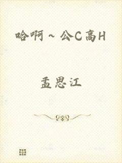 哈啊～公C高H