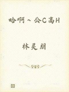 哈啊～公C高H