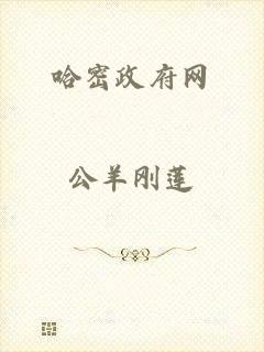 哈密政府网