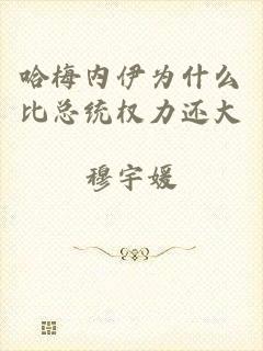 哈梅内伊为什么比总统权力还大