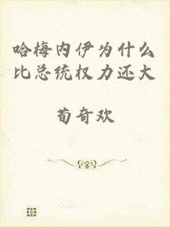哈梅内伊为什么比总统权力还大