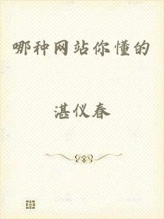 哪种网站你懂的