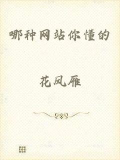 哪种网站你懂的