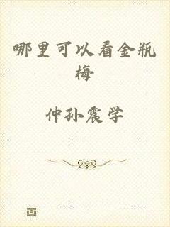 哪里可以看金瓶梅