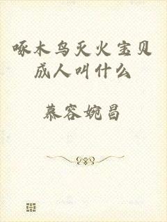 啄木鸟灭火宝贝成人叫什么