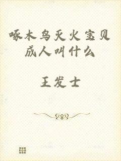 啄木鸟灭火宝贝成人叫什么