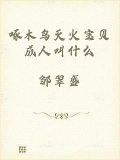 啄木鸟灭火宝贝成人叫什么