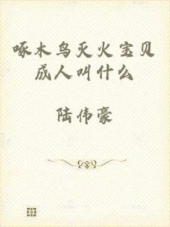 啄木鸟灭火宝贝成人叫什么