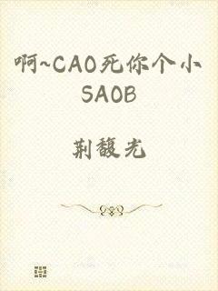 啊~CAO死你个小SAOB