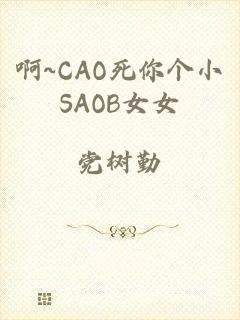 啊~CAO死你个小SAOB女女