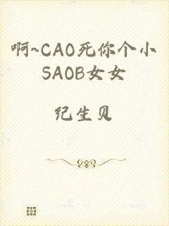 啊~CAO死你个小SAOB女女