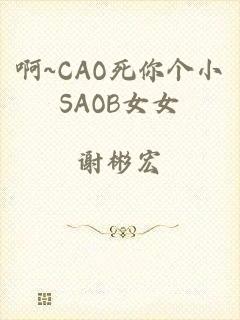 啊~CAO死你个小SAOB女女