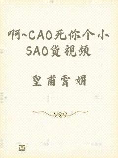 啊~CAO死你个小SAO货视频