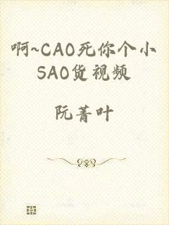 啊~CAO死你个小SAO货视频