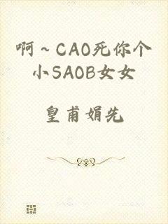 啊～CAO死你个小SAOB女女