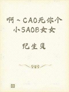 啊～CAO死你个小SAOB女女
