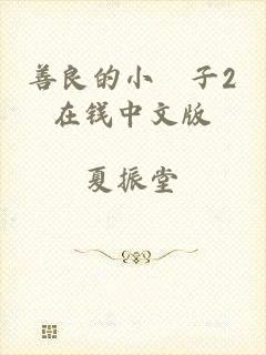 善良的小峓子2在钱中文版