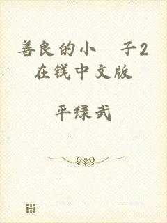 善良的小峓子2在钱中文版