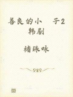 善良的小峓子2韩剧
