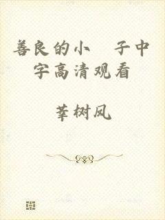 善良的小峓子中字高清观看