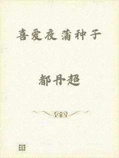 喜爱夜蒲种子