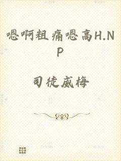 嗯啊粗痛嗯高H.NP